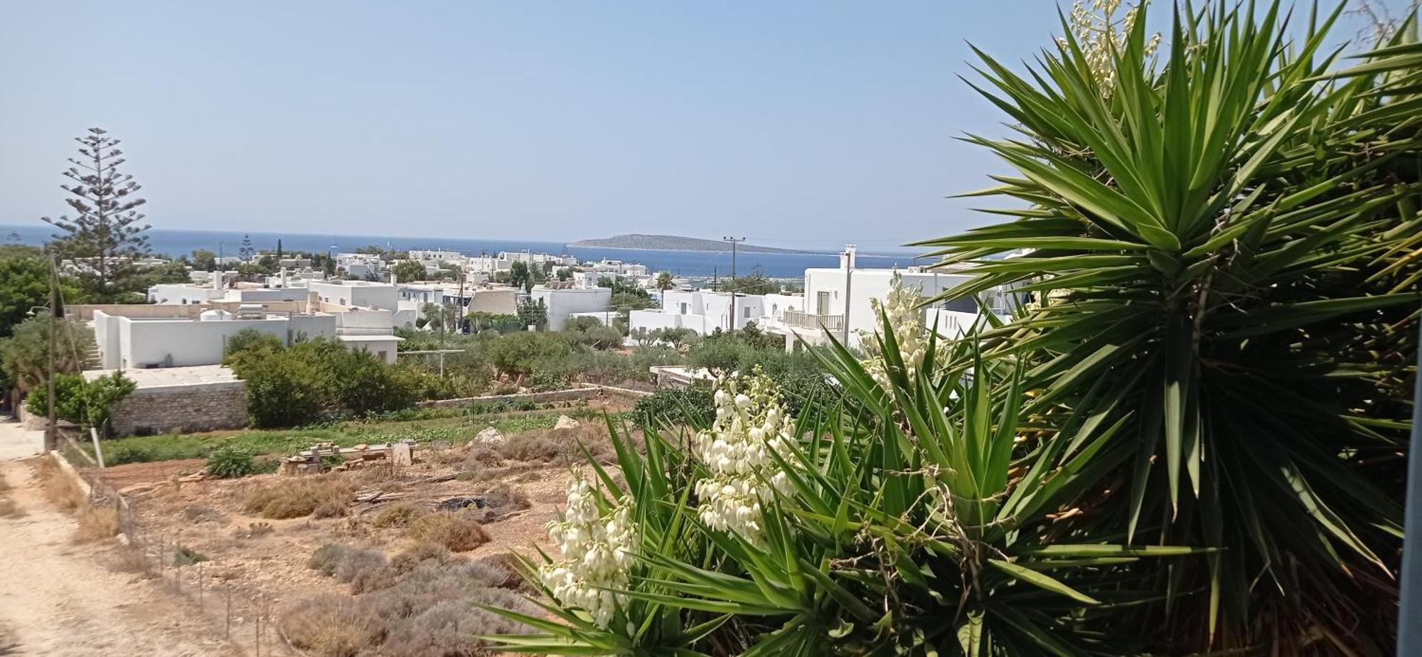 Anixis Studios Alikí الغرفة الصورة